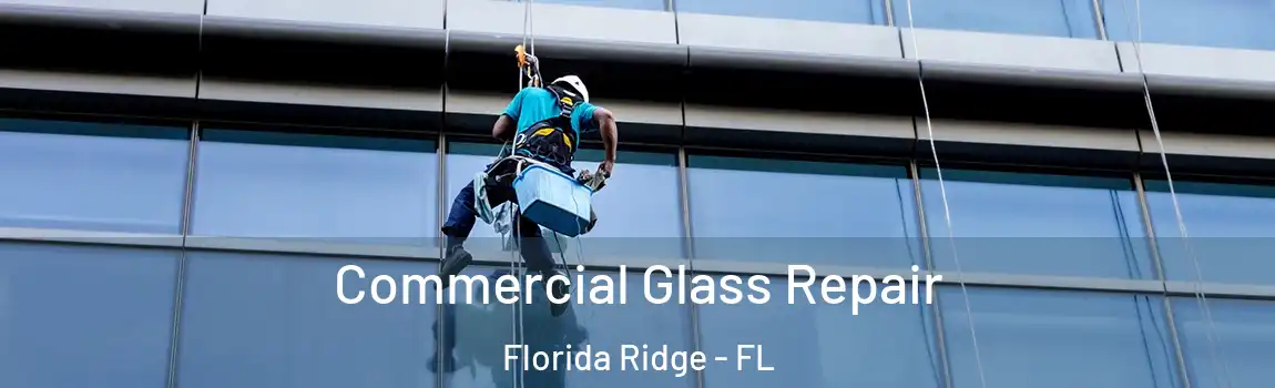 Commercial Glass Repair Florida Ridge - FL