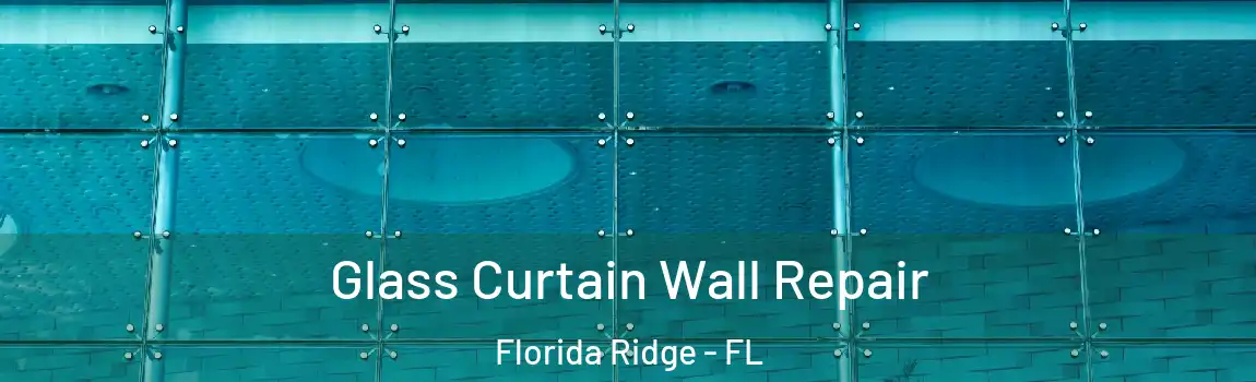  Glass Curtain Wall Repair Florida Ridge - FL