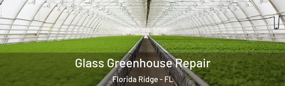  Glass Greenhouse Repair Florida Ridge - FL