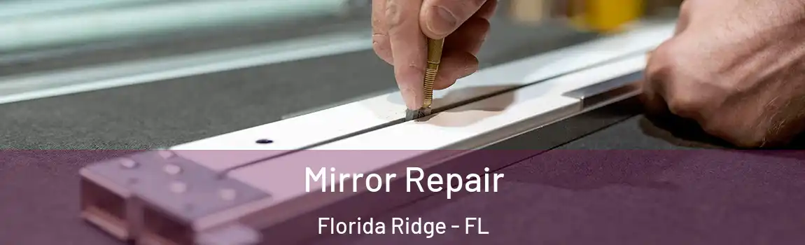  Mirror Repair Florida Ridge - FL