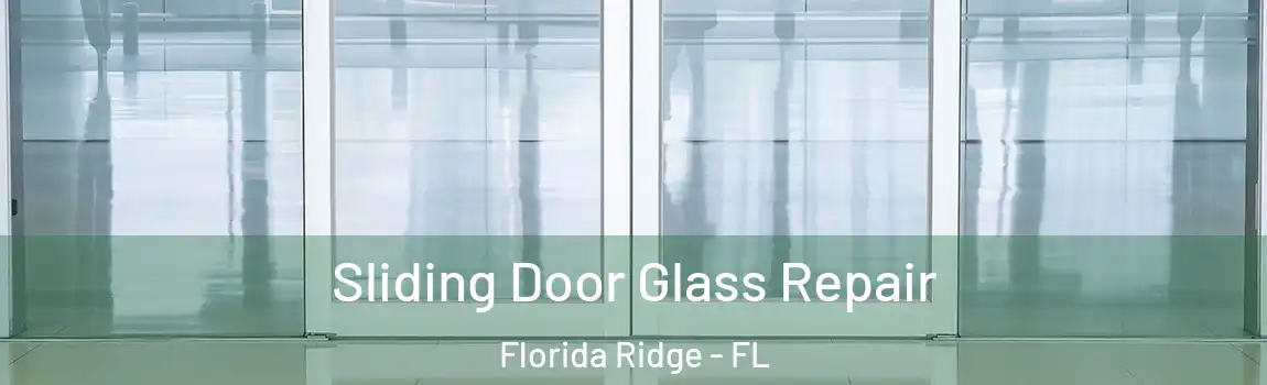  Sliding Door Glass Repair Florida Ridge - FL