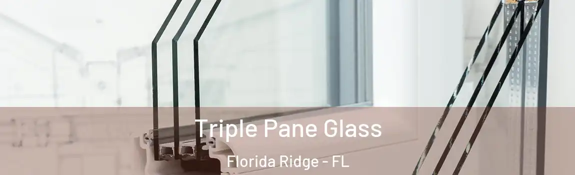  Triple Pane Glass Florida Ridge - FL