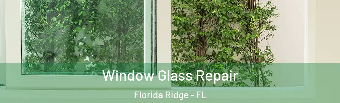  Window Glass Repair Florida Ridge - FL