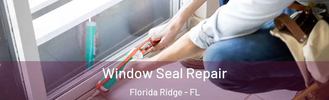  Window Seal Repair Florida Ridge - FL